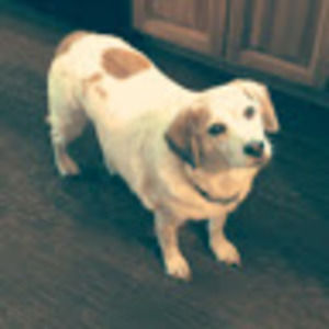 Meet your Posher, Karin